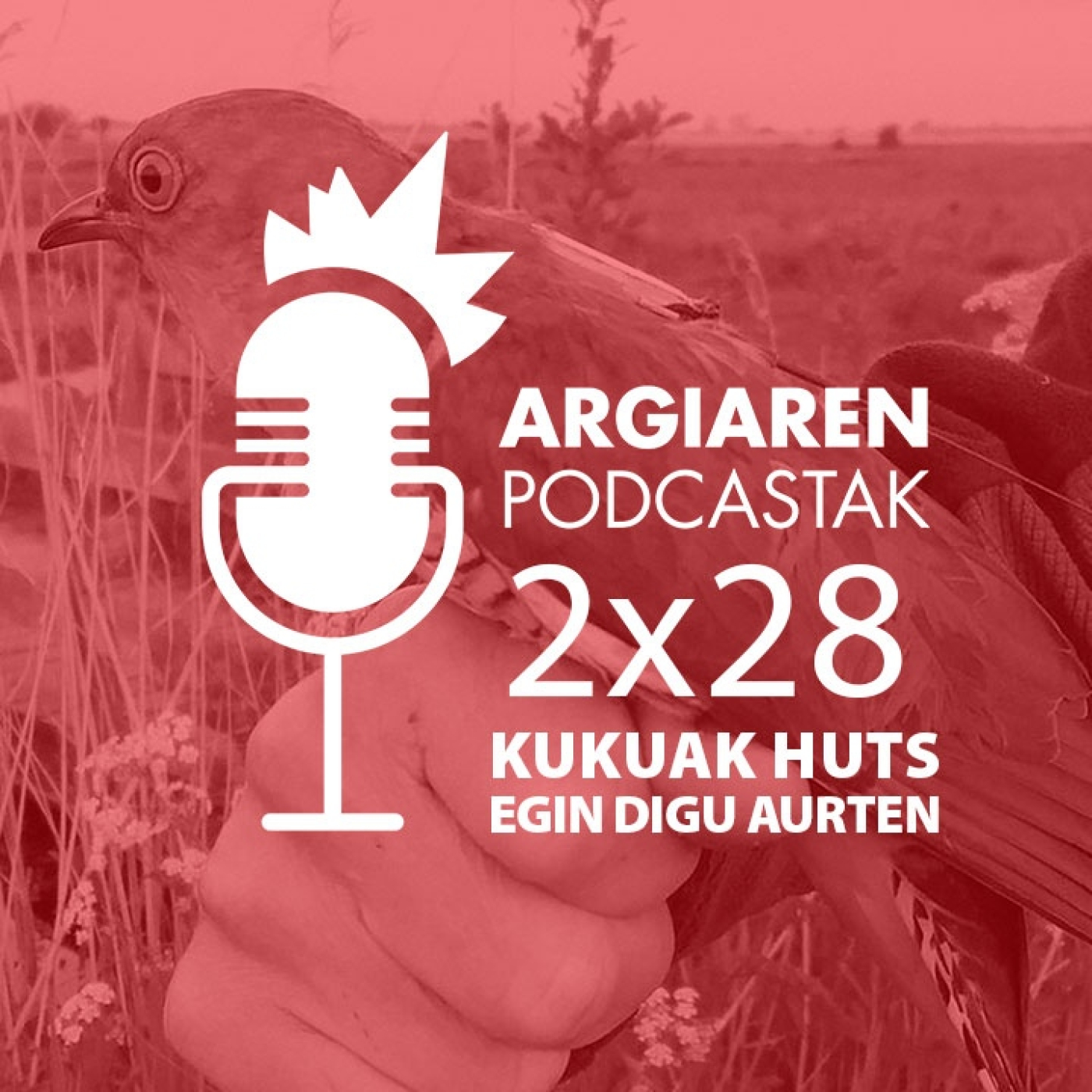 Kukuak huts egin digu aurten: ezin ote dugu ezer egin haren kanta berreskuratzeko?