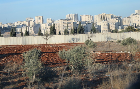 «Palestinako nekazariak okupazioaren lehen lerroa dira»